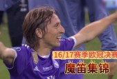 乐动体育平台 -莫德里奇重伤倒地，尤文图斯全队围拢祈祷，场面感人的简单介绍